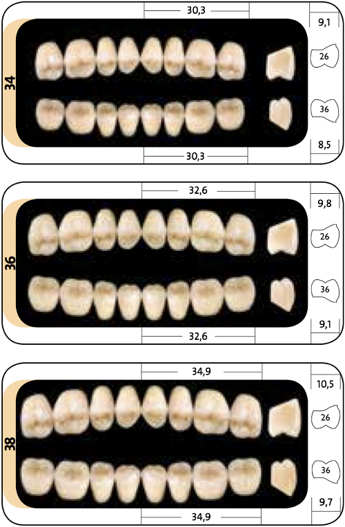 Condyloform do opisu