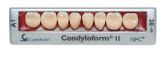 Condyloform